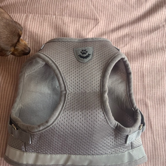 Dog harness - Picture 2 of 6